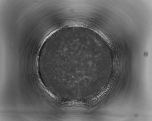 X0000099310790200805161412