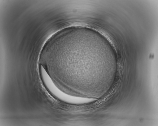 X0000099310791200805161412