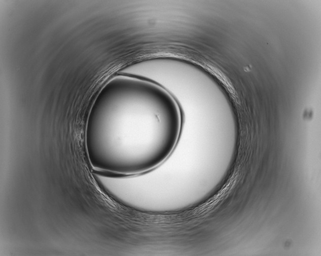 X0000099310793200805161412