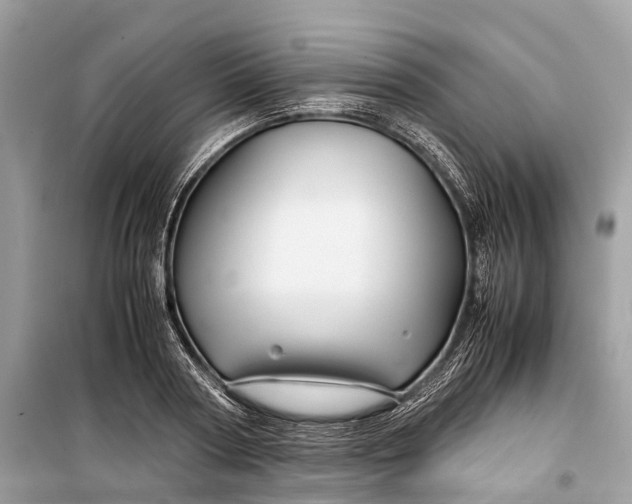 X0000099310794200805161412