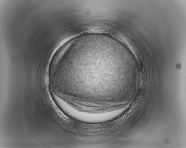 X0000099310795200805161412