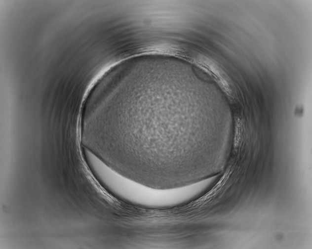 X0000099310796200805161412