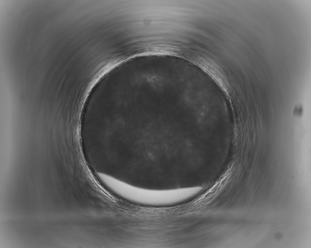 X0000099310797200805161412