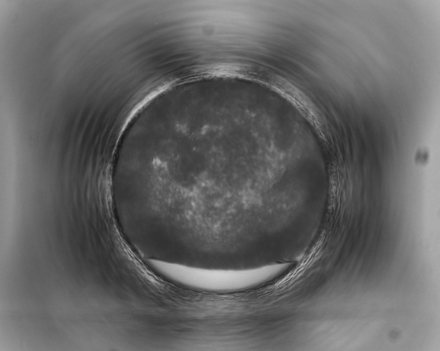 X0000099310798200805161412