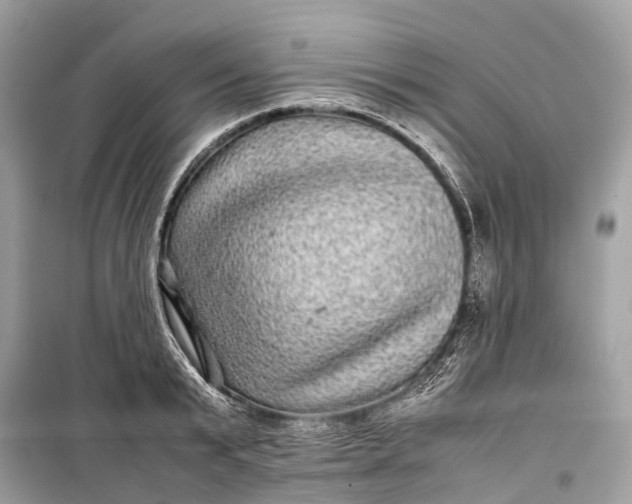 X0000099310799200805161412