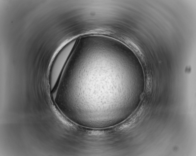 X0000099310800200805161412