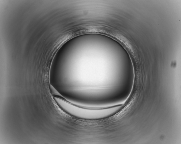 X0000099310801200805161411