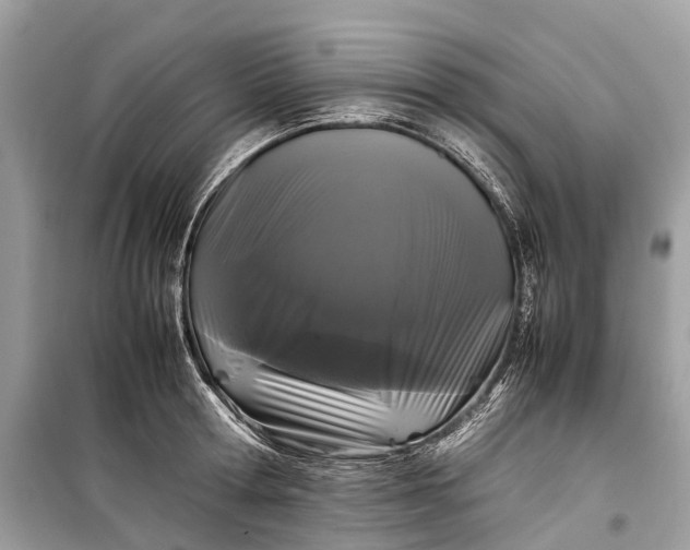 X0000099310802200805161411