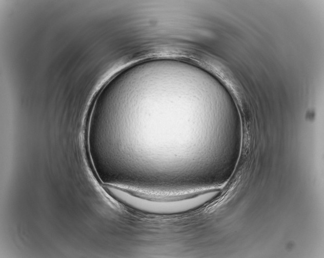 X0000099310803200805161411