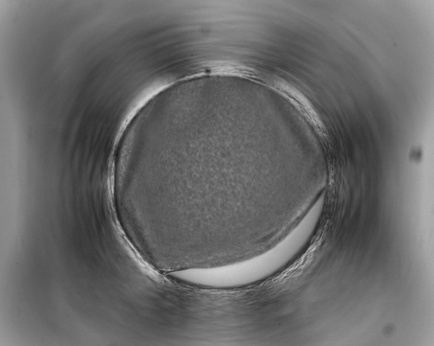 X0000099310804200805161411