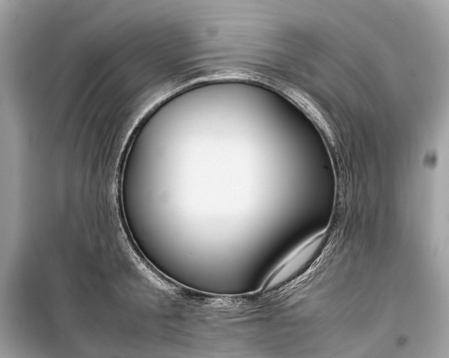 X0000099310805200805161411