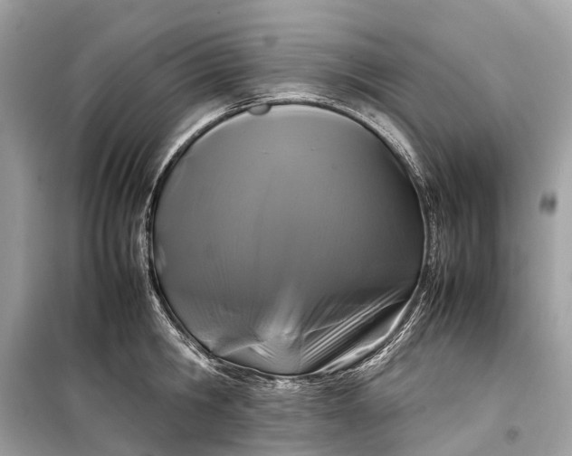 X0000099310806200805161411