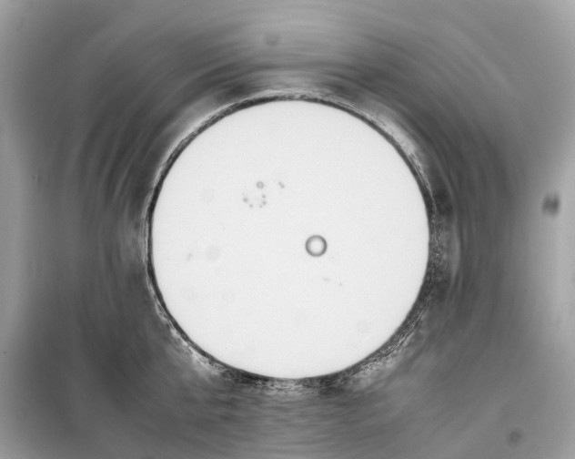 X0000099310807200805161411