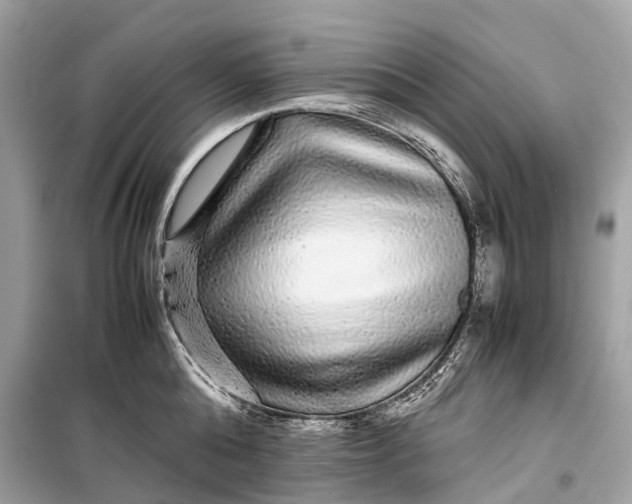 X0000099310808200805161411