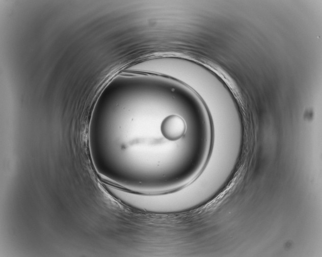 X0000099310809200805161411