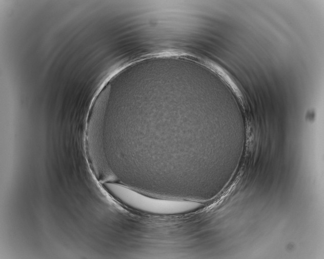 X0000099310810200805161411