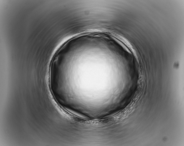 X0000099310811200805161411