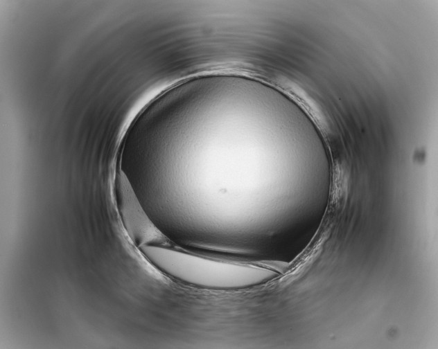 X0000099310812200805161411