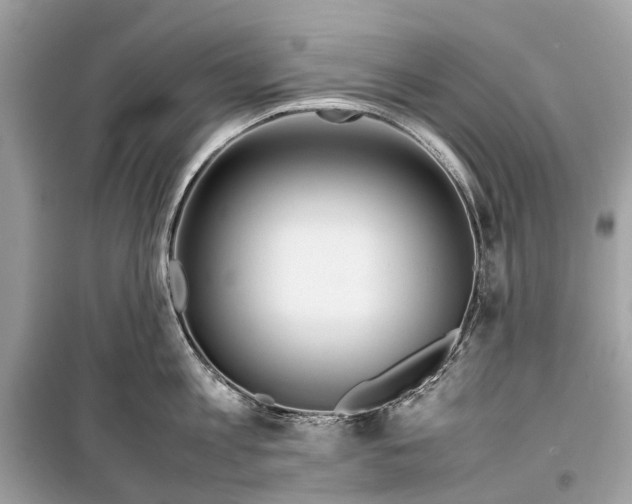 X0000099310813200805161411