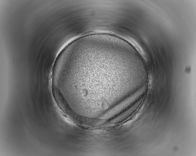 X0000099310814200805161411