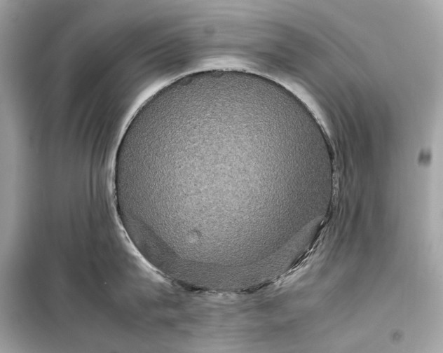 X0000099310815200805161411