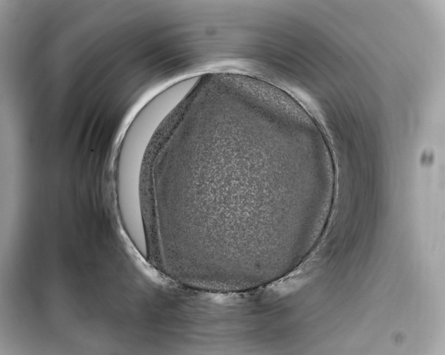 X0000099310816200805161411