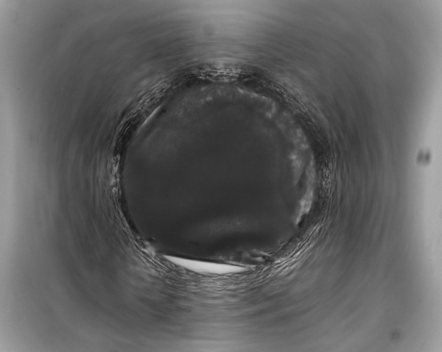 X0000099310818200805161410