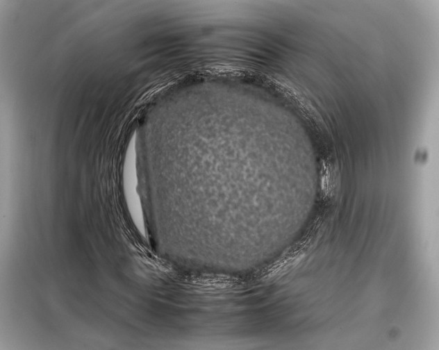 X0000099310819200805161410