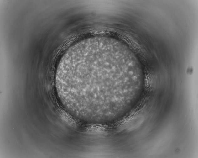 X0000099310820200805161410