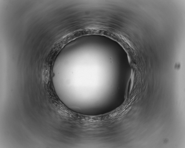 X0000099310821200805161410