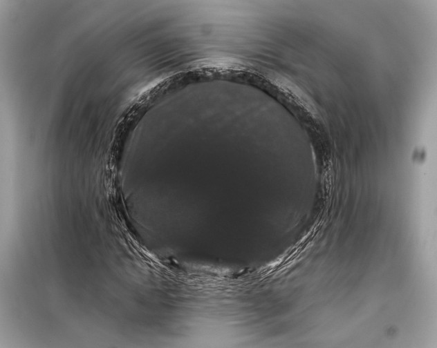 X0000099310822200805161410