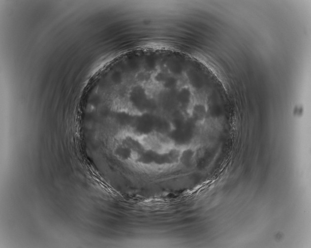 X0000099310823200805161411