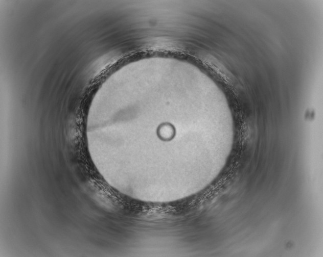 X0000099310824200805161411