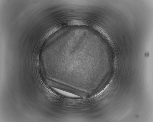 X0000099310825200805161411