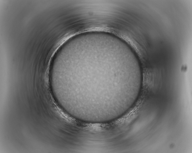 X0000099310828200805161411