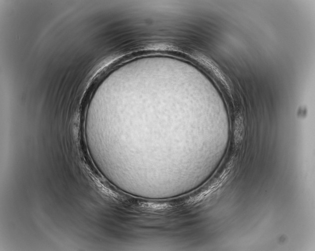 X0000099310831200805161411