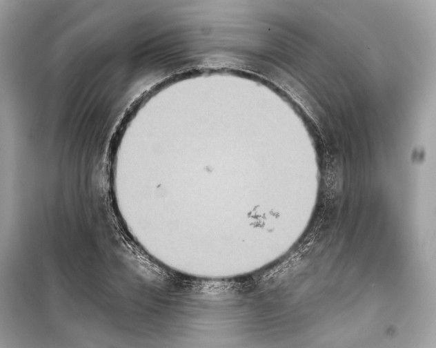 X0000099310832200805161411