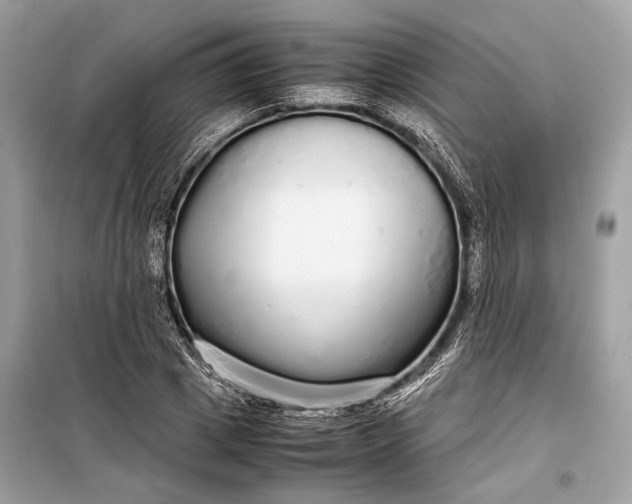 X0000099310833200805161411