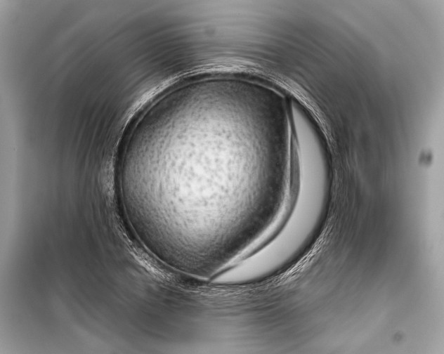 X0000099310834200805161411