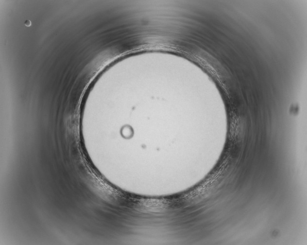 X0000099310836200805161411