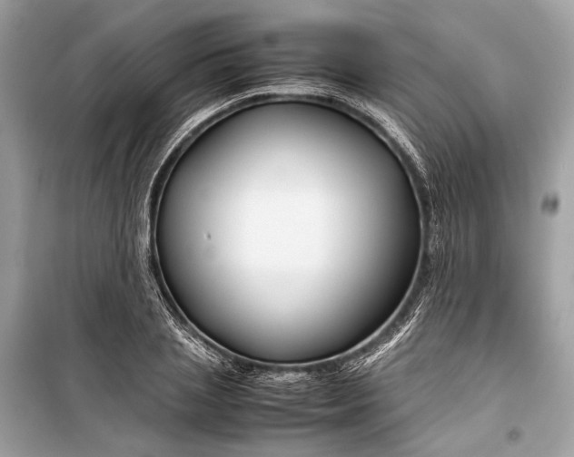 X0000099310837200805161411