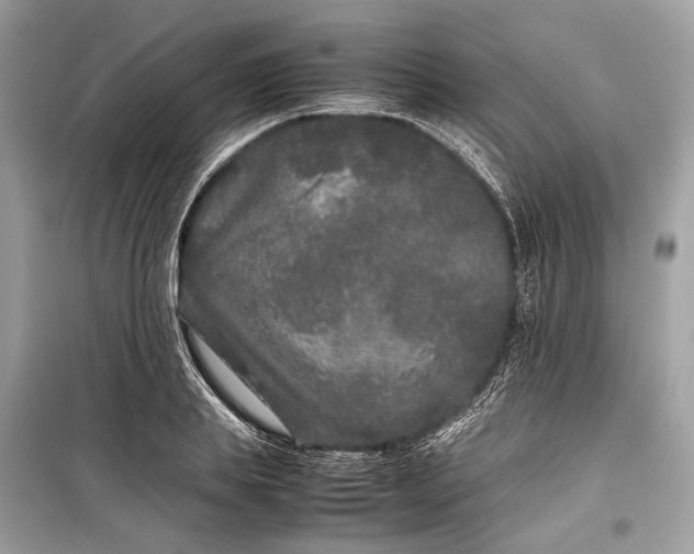 X0000099310839200805161411