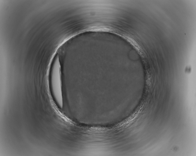 X0000099310840200805161411