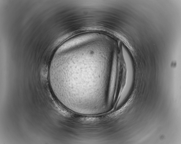 X0000099310841200805161411