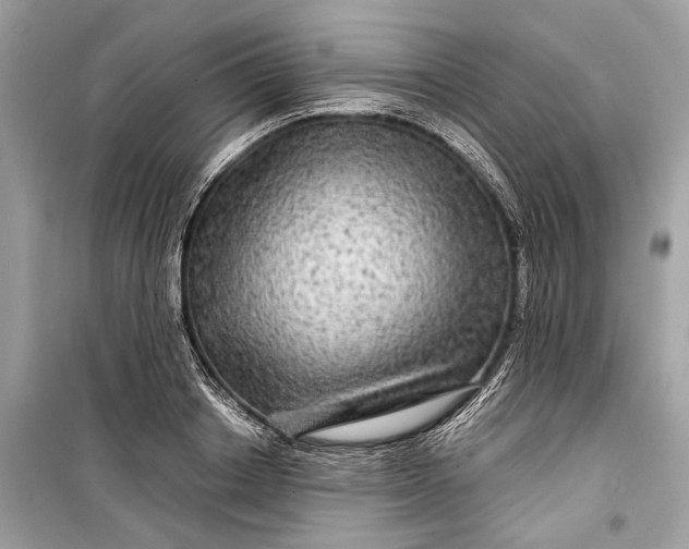 X0000099310842200805161411