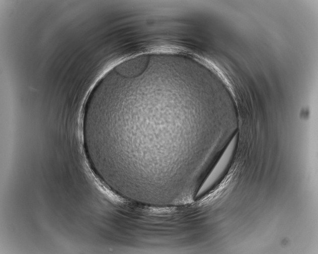 X0000099310843200805161411