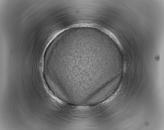 X0000099310844200805161411