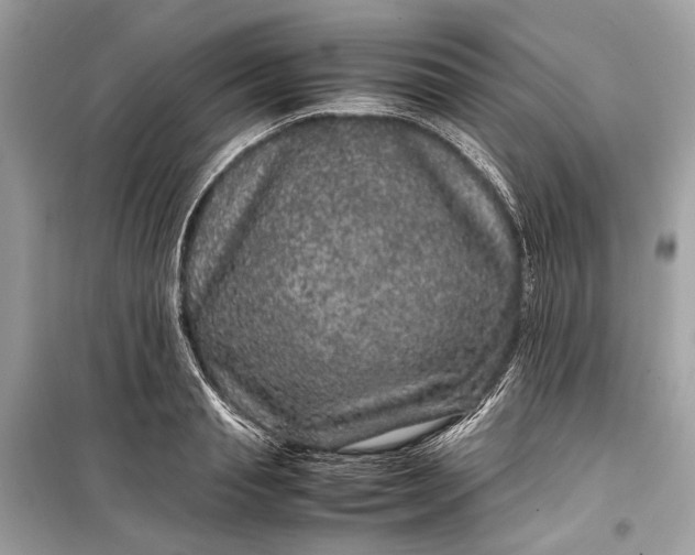 X0000099310845200805161411