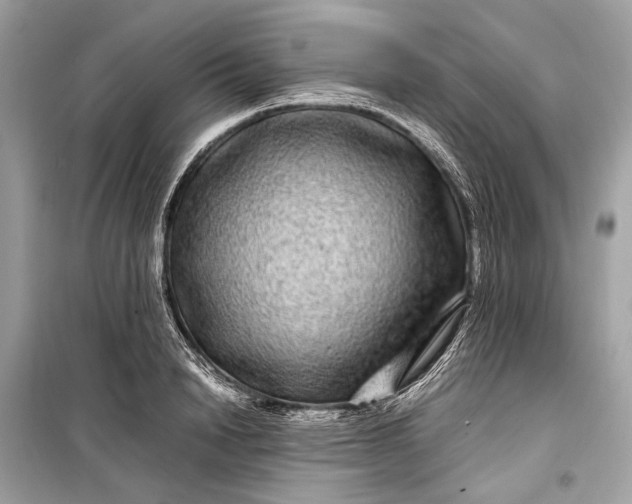 X0000099310846200805161411