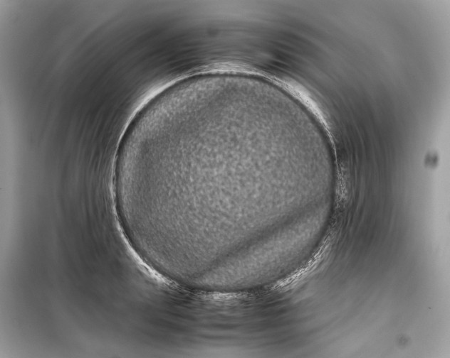 X0000099310847200805161411